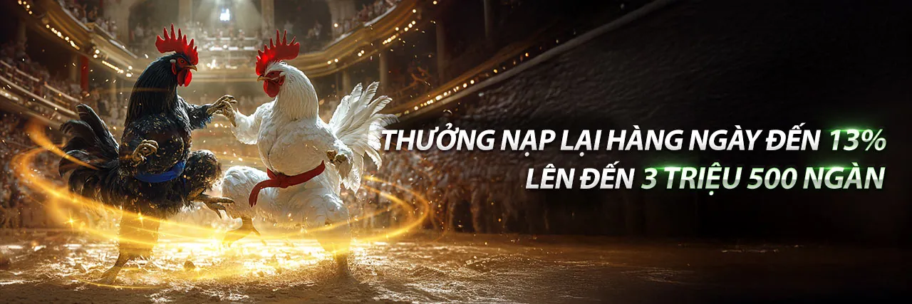 Tin tức 8live khuyến mãi 2026: Cập nhật mới nhất về các ưu đãi và sự kiện